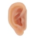 thumbnail image 4 of Modelo de oreja de silicona Ticfox simulada práctica Diseño elevado, 4 of 12