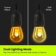 thumbnail image 4 of Cadena de luces Feit Electric de 3,7 m con efecto de llama, 7 bombillas, 4 of 8