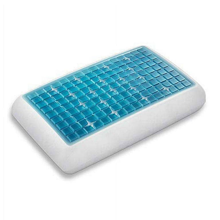 Technogel Deluxe Queen Thick (5.5 Technogel Deluxe Queen Thick (5.5