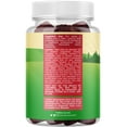 thumbnail image 6 of Natures Craft Kids Elderberry Gummies with Zinc and Vitamin C, Immune Support Supplement, 30 Count, 6 of 10