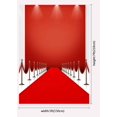 thumbnail image 2 of EREHome Polyester Fabric Red Carpet Backdrop 5x7ft Photography Background Studio Photo Props, 2 of 2