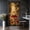 Color 3, variant on Door Stickers Peel and Stick Door Mural Whimsical Frog Glowing Fungi Vines Magical Forest Removable Wallpaper 30.3''x78.7'' Self-Adhesive Mural for Kitchen Living Room Bedroom Decor