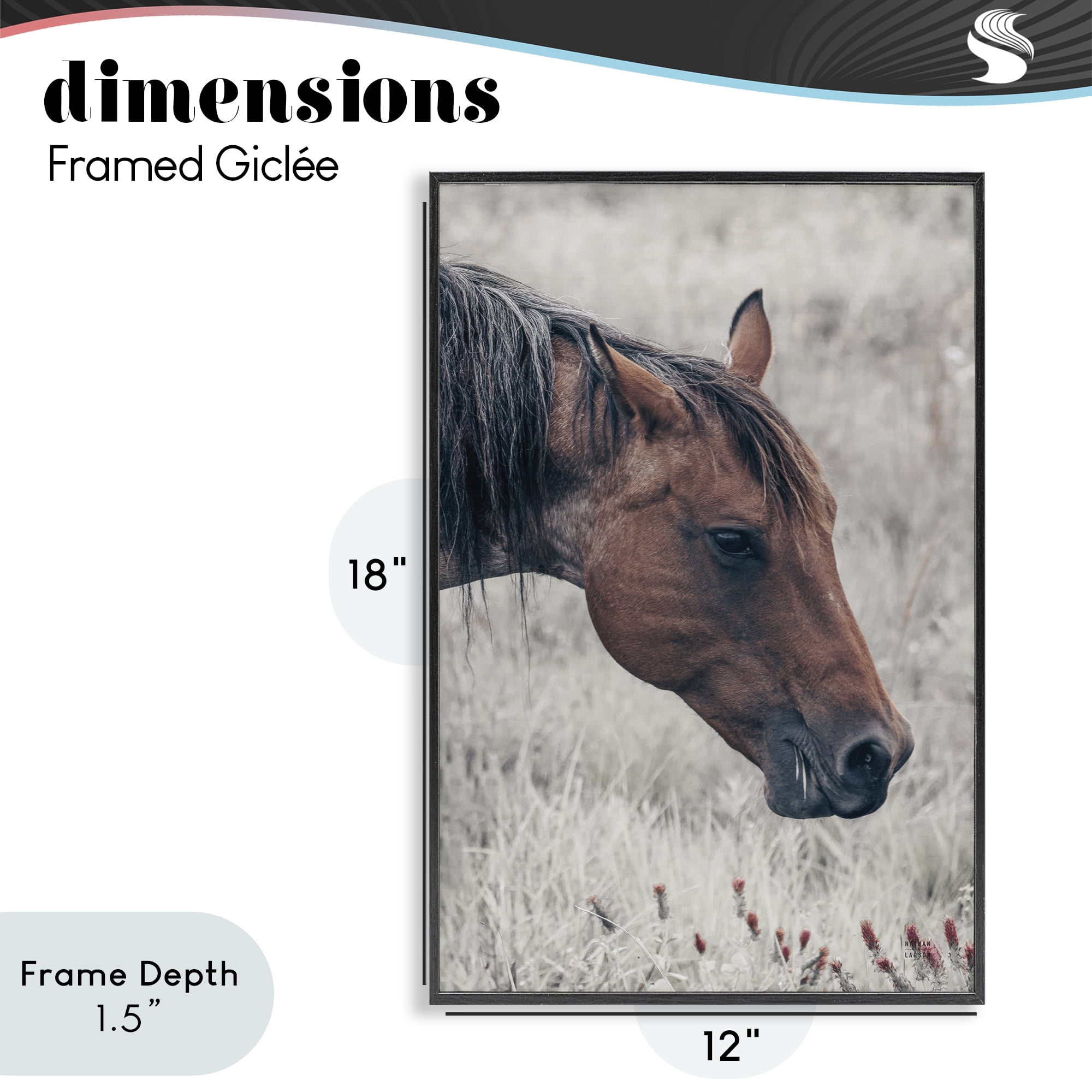 Stupell Industries Mother Horse Grazing in Meadow Black Framed Giclee Art, design by Nathan Larson