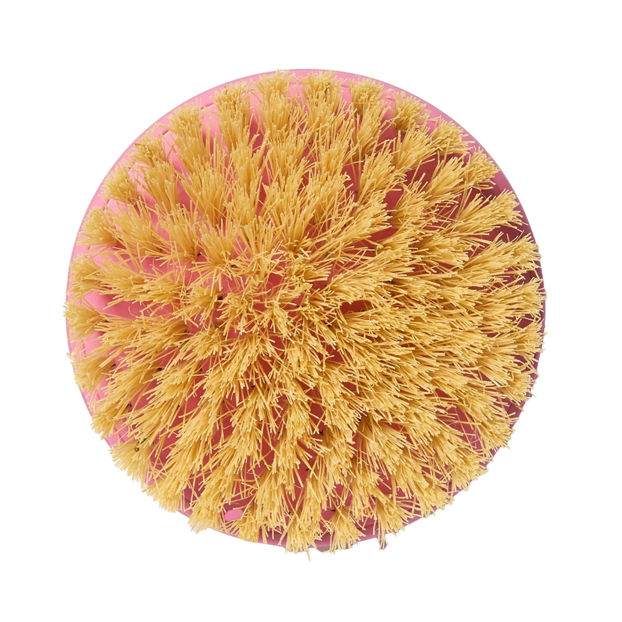 Bliss Smooth Away Exfoliating Dry Brush, Natural Bristles, Exfoliating Body Scrubber and Dry Brush