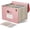 Strawberry Pink, variant on Accordion File Organizer, 12 Pockets Wheat Straw Expanding File Folders, Monthly Bill Receipt Organizer, 100% BPA Free, Return to Nature, Healthy Living, Letter/A4 Size - Sky Blue