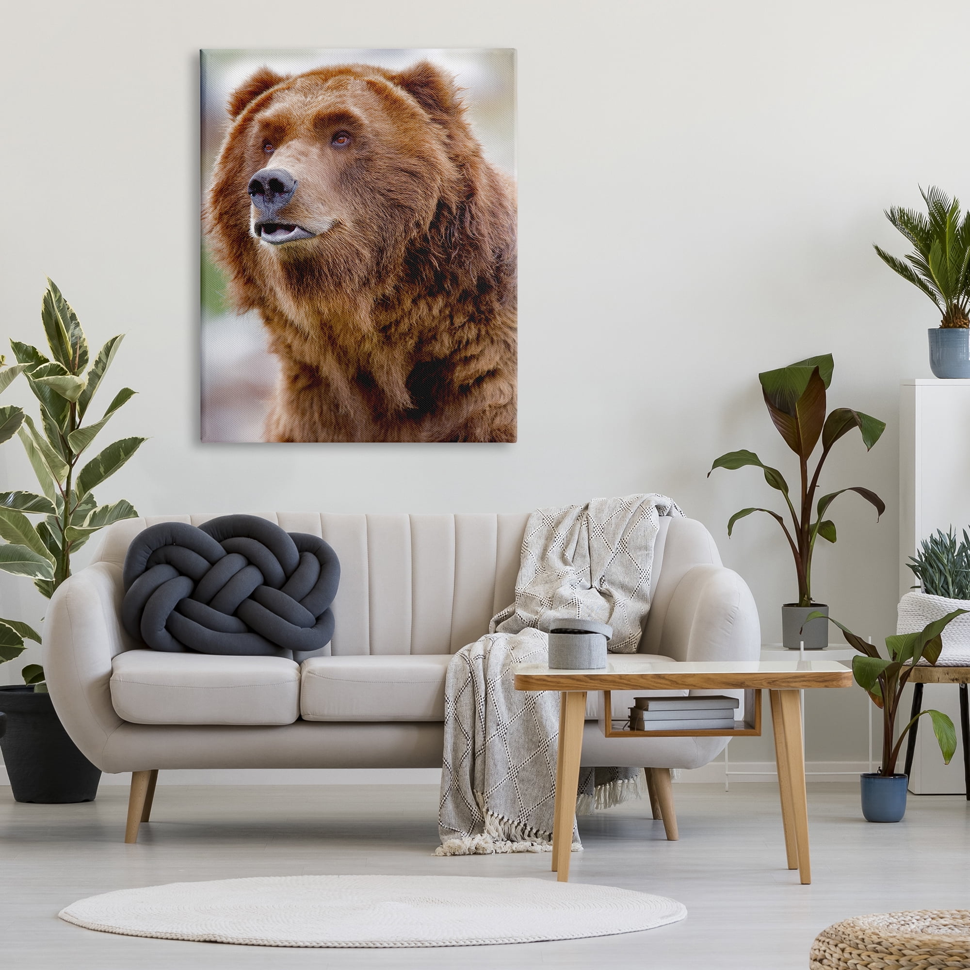 Stupell Industries Brown Bear Portrait Animals & Insects Photography Gallery Wrapped Canvas Print Wall Art, 36 x 48