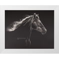 thumbnail image 1 of Harrison, Lesley 18x15 White Modern Wood Framed Museum Art Print Titled - Faroan, 1 of 4