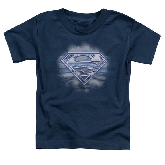 Superman - Freedom Of Flight - Toddler Short Sleeve Shirt - 3T