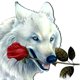 thumbnail image 2 of Cuadros Decorativos 5D bricolaje diamante pintura lobo blanco cruz puntada bordado pedrería kits DQrwqpou Nuevos Originales, 2 of 7