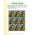 thumbnail image 5 of Molly Hashimoto's Art & Nature Activity Book, 5 of 5