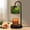 Pattern 3, variant on Candle Warmer Lamp with Timer Dimmer Polynesian Beach Hut Candle Lamp Warmer for Jar Candle with 4 Bulbs Gifts for Women House Warming Gifts