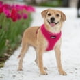 thumbnail image 2 of AeroLite No Pull Mesh Dog Harness with Lightweight, Soft, Breathable Chest Coverage, Reflective Stitching, and Adjustable Straps for Walking, Running, Training, Heavy Duty and Durable, 2 of 7