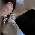 thumbnail image 5 of GKNET Korean Style Crystal Tassel Long Earrings Fashion Light Luxury Pendant Earr-A9, 5 of 9