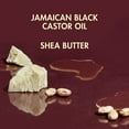 thumbnail image 5 of SheaMoisture Jamaican Black Castor Oil Replenishing Shampoo 16 oz pack of 2, 5 of 9