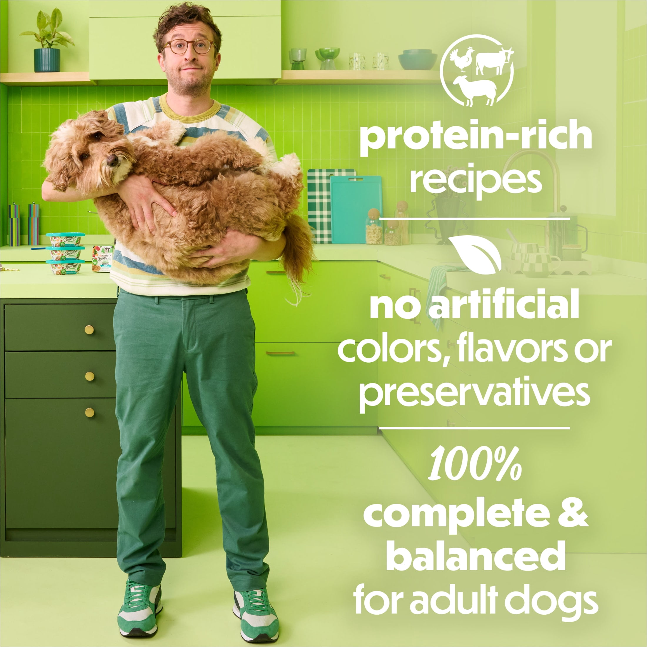 Purina Beneful Dog Food Freshly Prepared Meals Variety packWet Dog Food with Gravy, 10 oz.