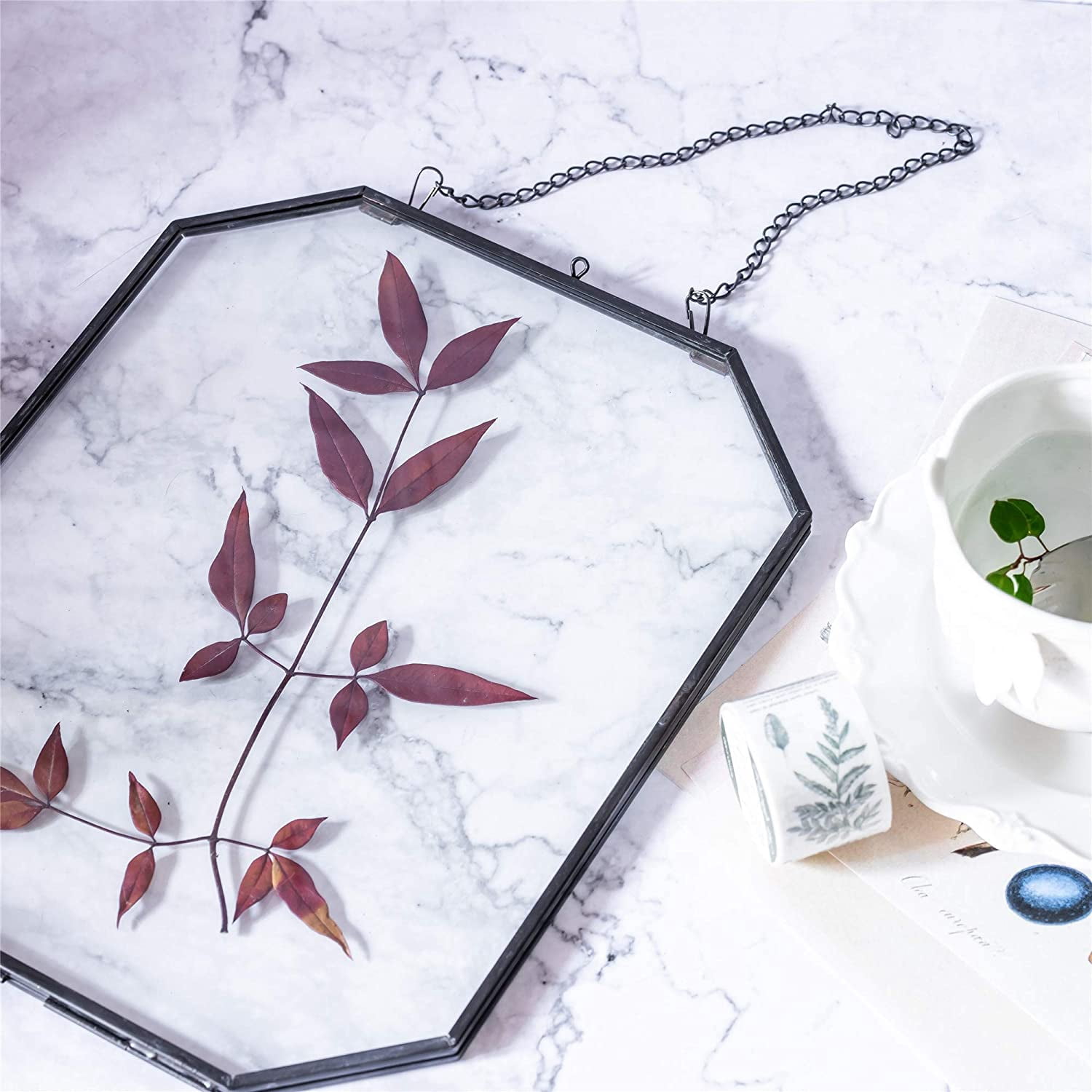 NCYP 8x10 inches Octagon Double Glass Floating Frame for Pressed Dried Flowers, Photo, Picture, Poster - Wall Hanging Herbarium, Home Decor, Black (Glass Frame Only)
