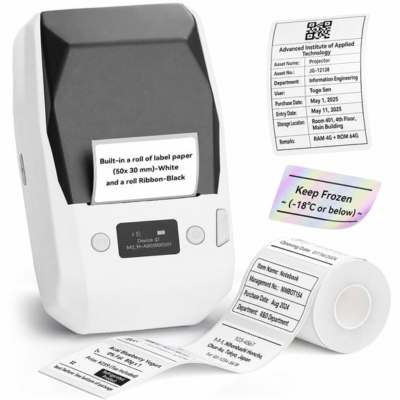 NIIMBOT M2 Thermal Transfer Label Printer Starter Kit, White