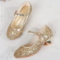 thumbnail image 3 of Little Girls Princess Shoes Low Heels Shoes for Party Wedding, 3 of 8