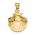 thumbnail image 3 of Real 14kt Yellow Gold Scallop Shell Pendant; for Adults and Teens; for Women and Men, 3 of 4