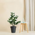 thumbnail image 2 of 4 pack of 35in artificial camellia con ground spike - fake silk topiary trees para home decor, garden, patio, y indoor use, blanca color, 2 of 8