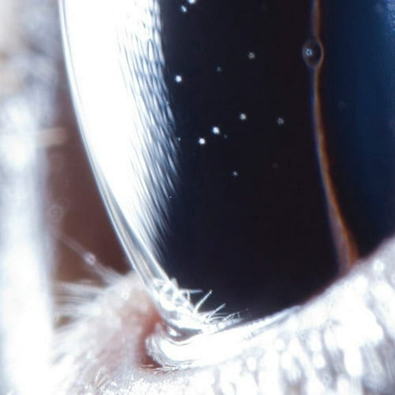 Roly Porter - Third Law - Music & Performance - Vinyl