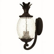 Acclaim Lighting FL2ABZ 2-Light Architectural Bronze Polycarbonate Floodlight
