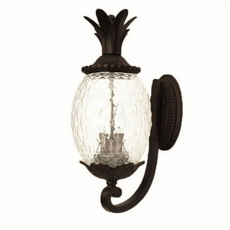 Acclaim Lighting FL2ABZ 2-Light Architectural Bronze Polycarbonate Floodlight