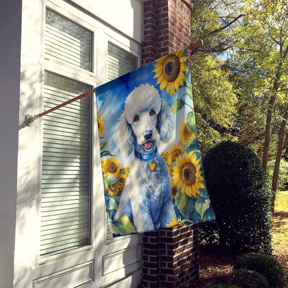 Caroline's Treasures DAC6142CHF White Poodle in Sunflowers House Flag Large Porch Sleeve Pole Decorative Outside Yard Banner Artwork Wall Hanging, Polyester, House Size, Multicolor