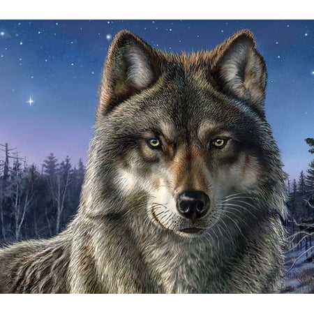 Wilderness Plush Lone Wolf Throw, 50"x60"