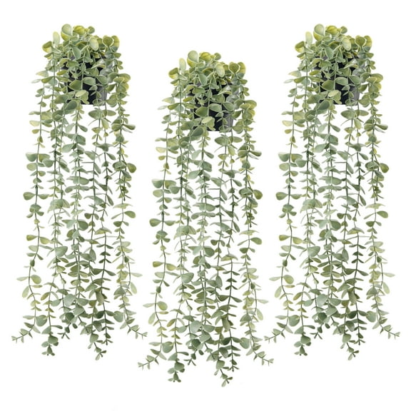 3 Pack Artificial Hanging Gray-Green Eucalyptus, Faux Trailing Greenery in Black Pots for Indoor Home, Office Desk, Wall, Shelf and Bookcase Decor