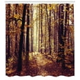 thumbnail image 3 of Ambesonne Landscape Shower Curtain, Misty Weather Forest, 69"Wx75"L, Pale Yellow Dark Orange, 3 of 3