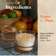 thumbnail image 3 of Vela Paddywax Al Fresco Pimienta + Ciruela 198 ml, 3 of 7
