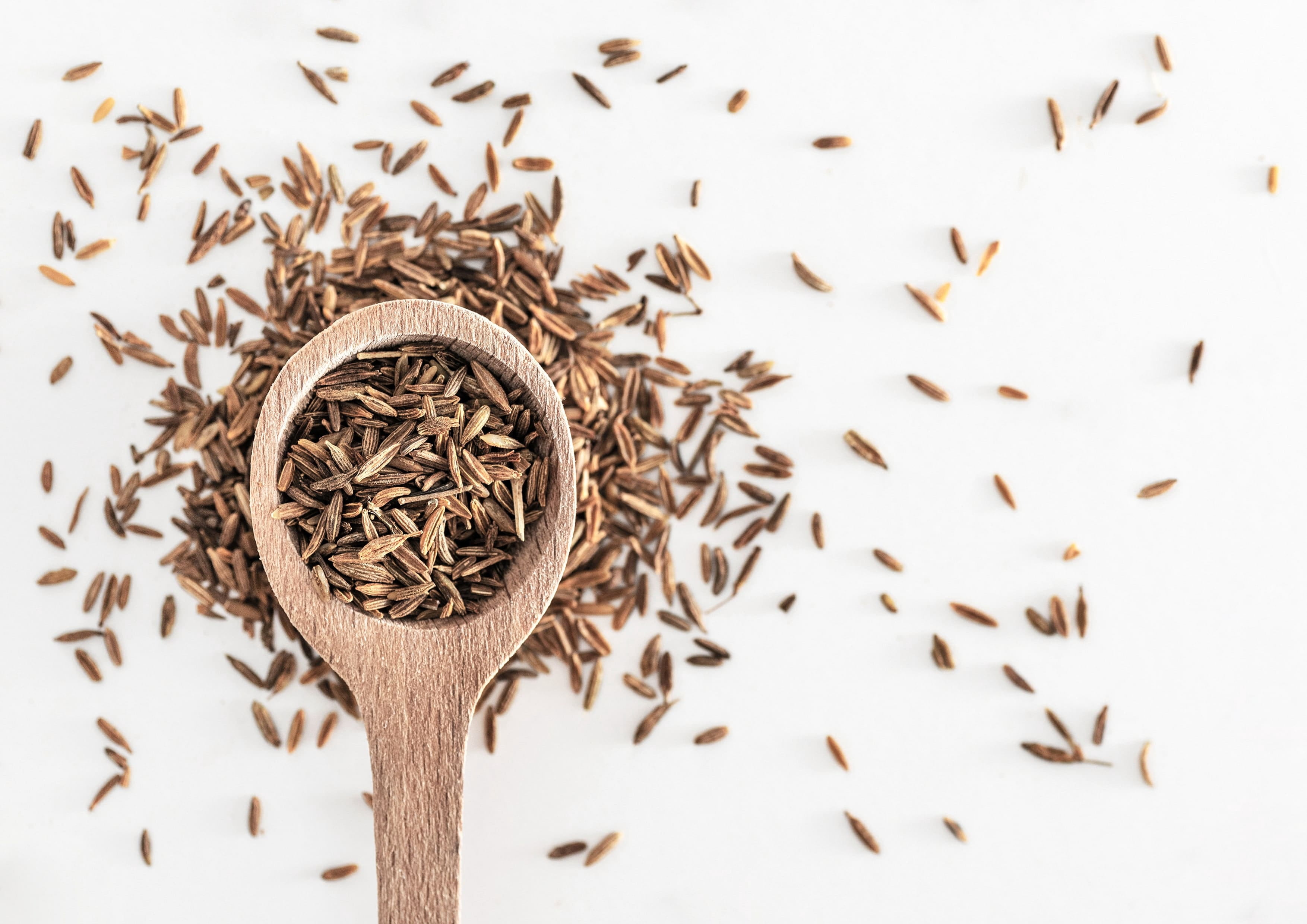 Cumin Seeds, 12 Pounds — Kosher, Raw, Vegan — by Food to Live