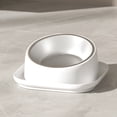 thumbnail image 4 of Cuencos para gatos elevados inclinados antivómitos y derrames, cuencos para perros de acero inoxidable, cuenco para gatos de interior, 4 of 7