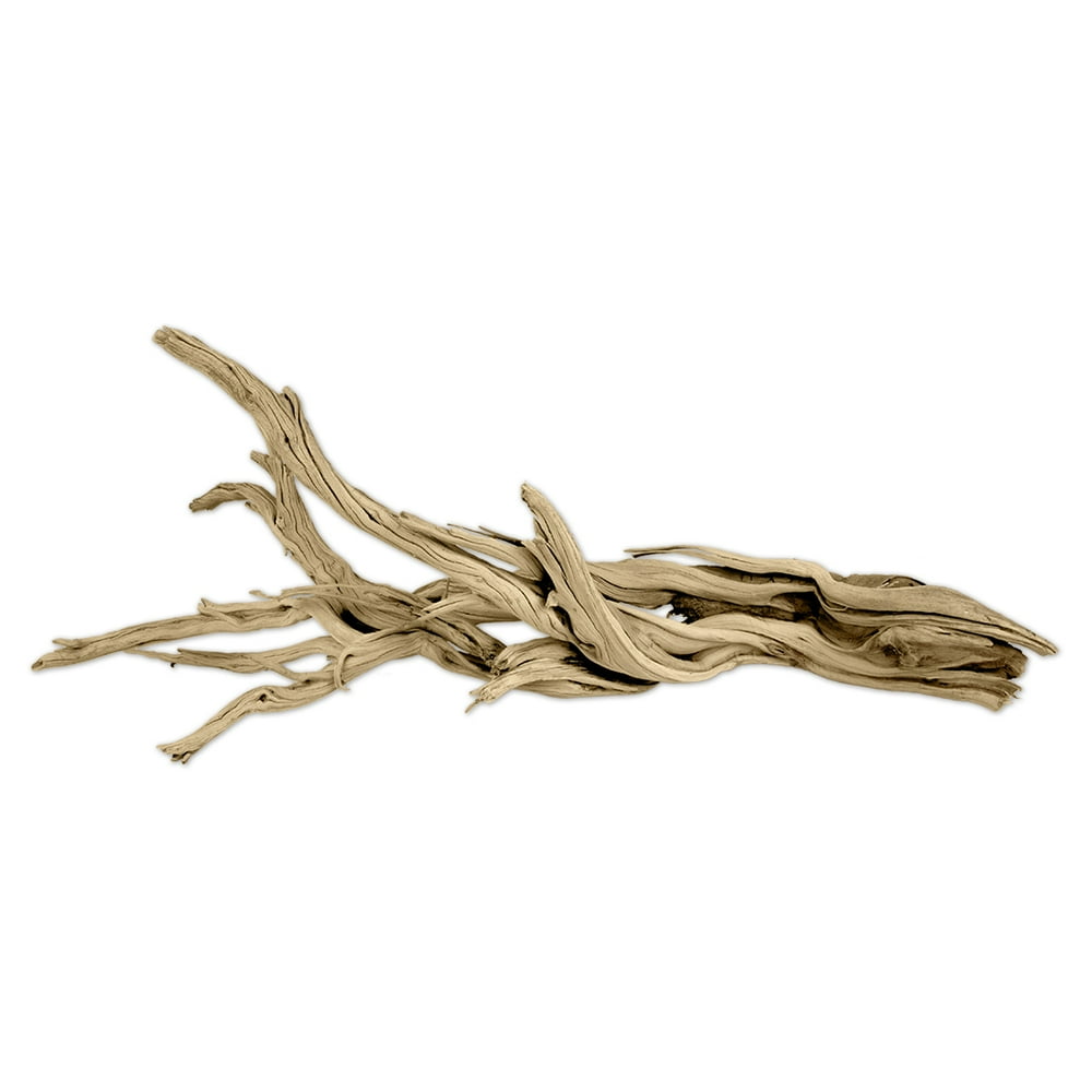 DIY Wedding Koyal Wholesale Natural California Driftwood Branch, 12