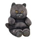 thumbnail image 1 of Gato gordo de peluche de animales de peluche, juguete realista de gato negro para niños y niñas, regalo de cumpleaños de Navidad, 1 of 4