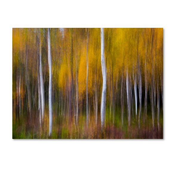 Trademark Fine Art 'Abstract Fall' Canvas Art by Andreas Christensen