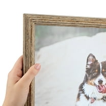ArtToFrames 15" x 18" Brown Picture Frame, 15x18 inch Brown Wood Poster Frame (WOM-4717), 5 Pack
