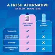 Lysol® Laundry Sanitizer Additive, Eliminates Odor Causing Bacteria, Lavender Fusion, 21 oz