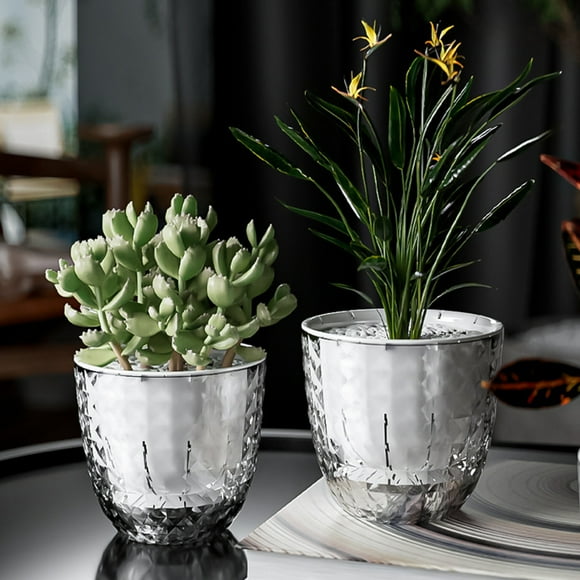 Kadlawus Transparent Flower Pot for Office, Double Layer Water Storage Planter, Self Watering Plant Pot, Small Indoor Planting Pot for Succulents, Herbs, Flowers