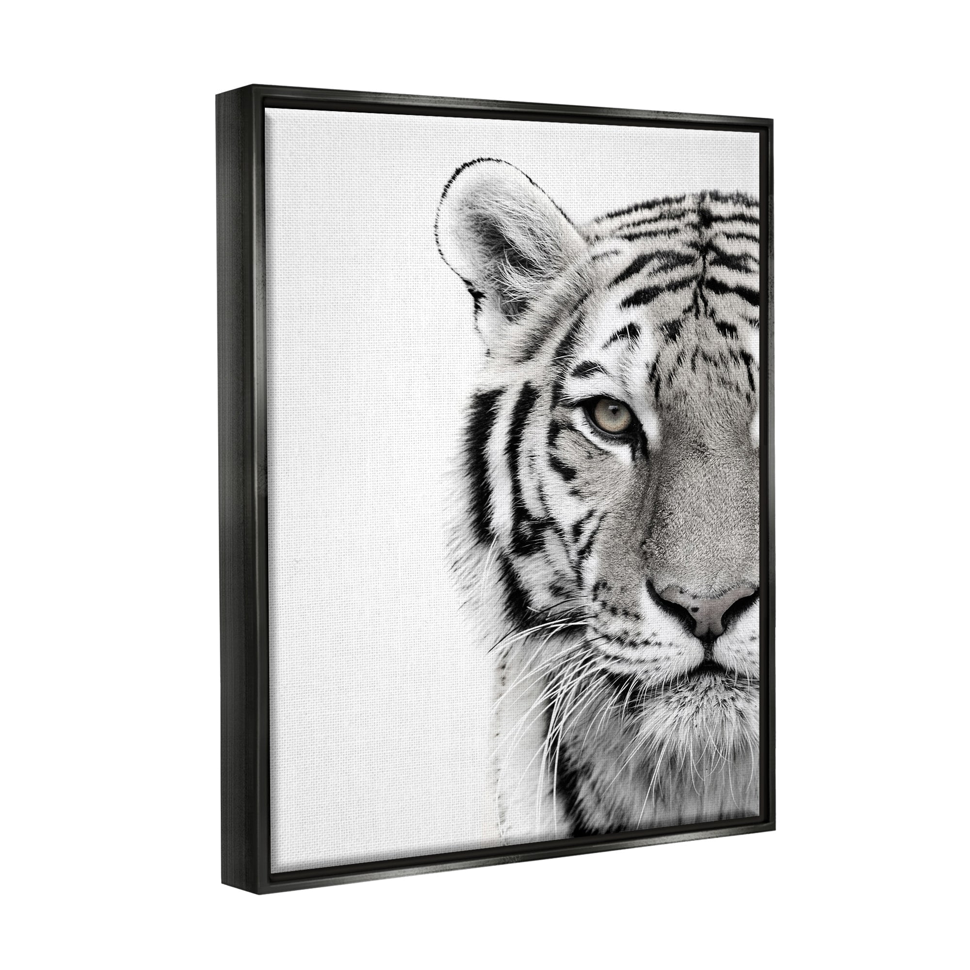 Stupell Industries White Tiger Close Up Black and White Photography Jet Black Framed Floating Canvas Wall Art, 16x20, by Design Fabrikken