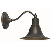 Dark Sky 1 Light Outdoor Wall Lamp in Antique Copper Finish