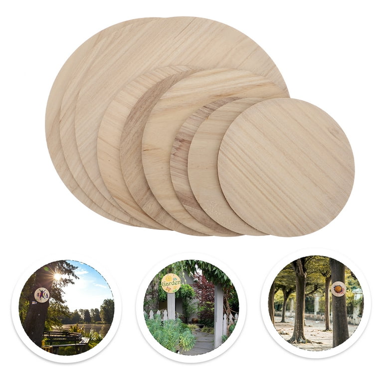 9Pcs Wood Circles Unfinished Round Wood Slices for Crafts Painting