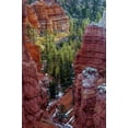 thumbnail image 2 of OBrien, Jay 11x14 White Modern Wood Framed Museum Art Print Titled - USA, Utah, Bryce Canyon NP Close-up of hoodoos, 2 of 4