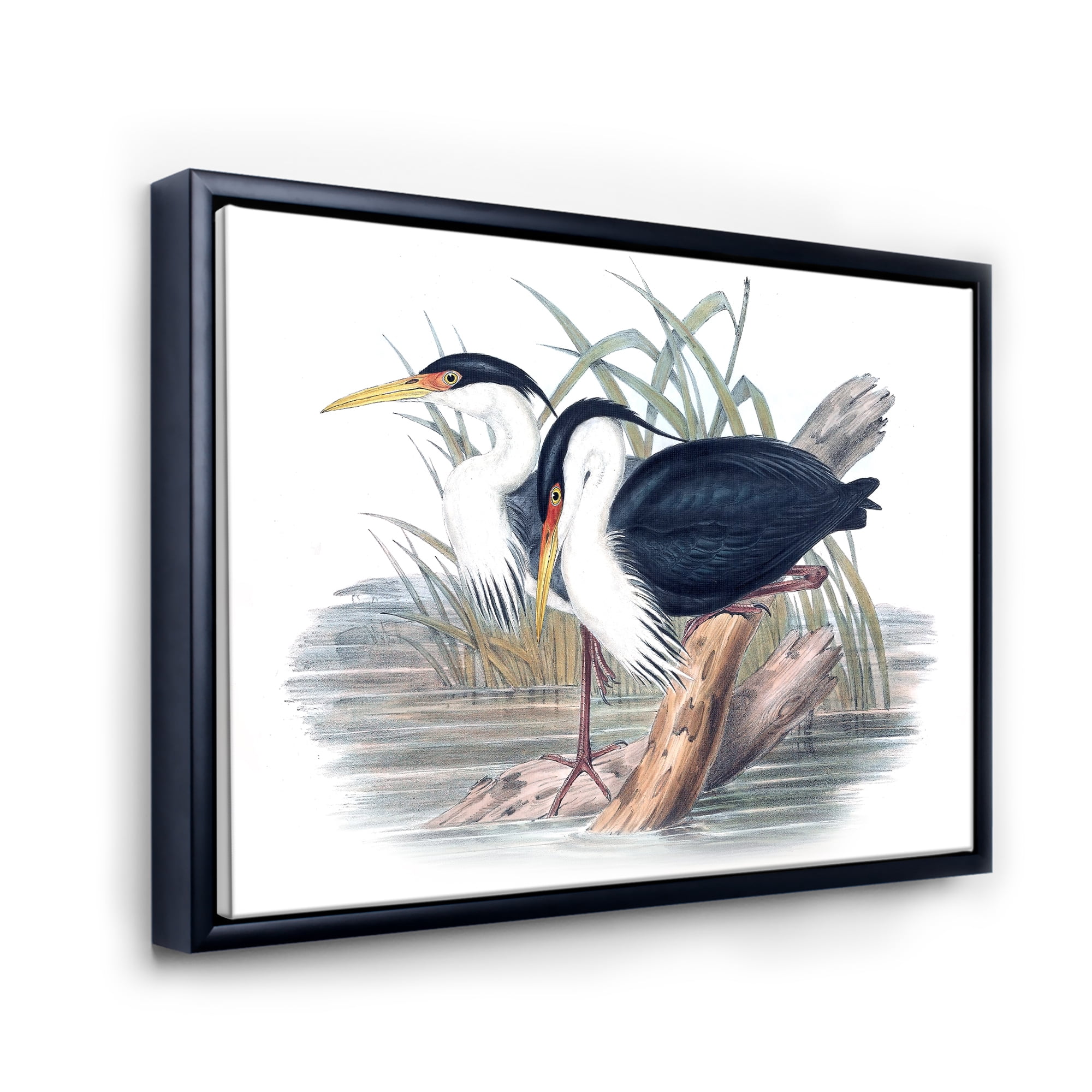 Ancient Bird Life II 40 in x 30 in Framed Painting Canvas Art Print, by Designart