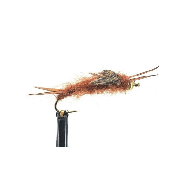 One Dozen Bead Head Stonefly Nymphs - Black or Brown - Sizes 10-16