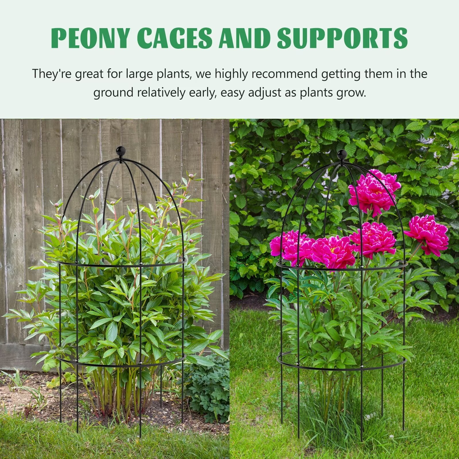 MOPHOTO Garden Trellis for Climbing Plants Outdoor, Tomato Cage Metal Obelisk Trellis Plant Trellis for Potted Plant, Flower Trellises Plant Cages Peony Cages Plant Support (Black, 3 Pack)