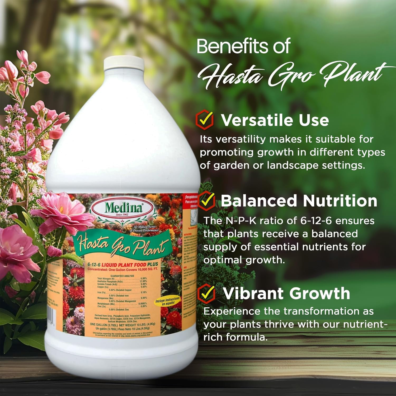 Medina Hasta Gro Plant Food Plus Fertilizer 6-12-8, 1 gal.