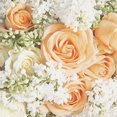 thumbnail image 2 of Serviettes en Papier Roses et Lilas, 2 of 5
