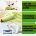 thumbnail image 5 of Cat Grass Teething Stick, Cat Grass Chew Stick, Cat Grass Teething Stick Cuddles and Meow, Cat Grass Teething Sticks for Indoor Cats, Cat Grass Teething Stick Chicken, 5 of 8